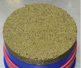 Hybrid Kaluga＆Amur Sturgeon Caviar