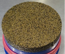 Kaluga Sturgeon Caviar