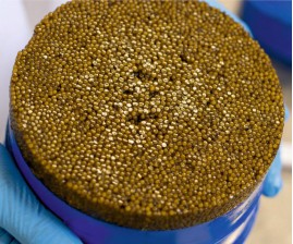 Amur Sturgeon Caviar