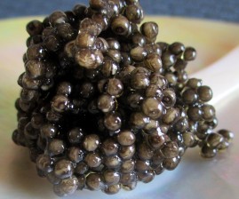 Russian Sturgeon Caviar